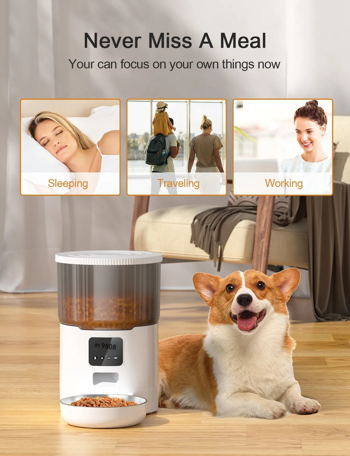 Cat Smart Dog Automatic Pet Feeder